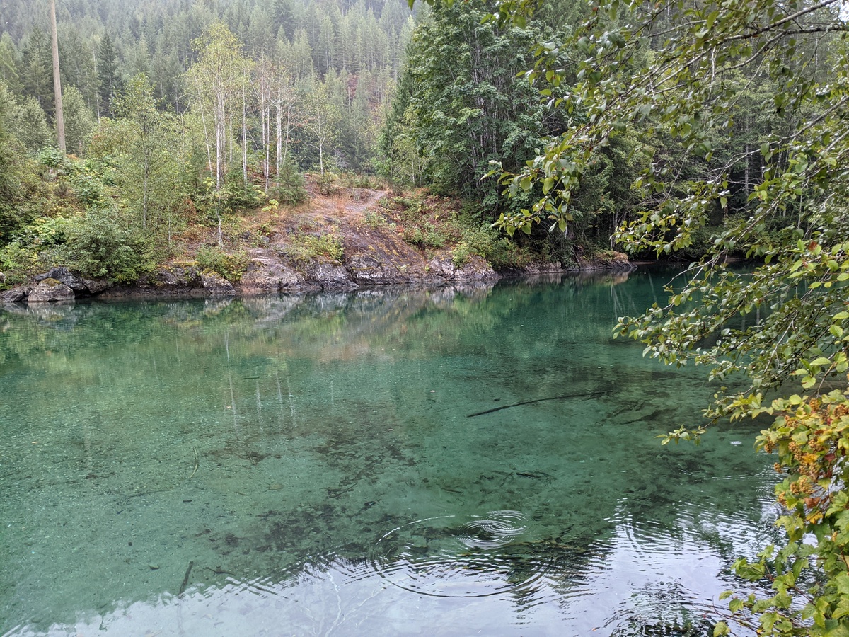 West Coast of Canada - Photo 7