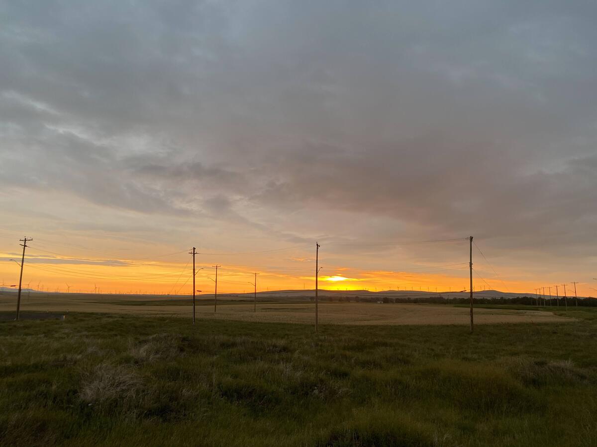 West Coast of Canada - Photo 14