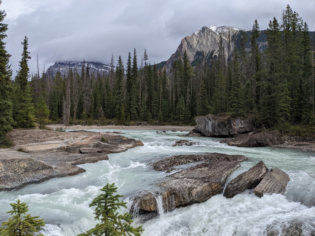 West Coast of Canada - Photo 28