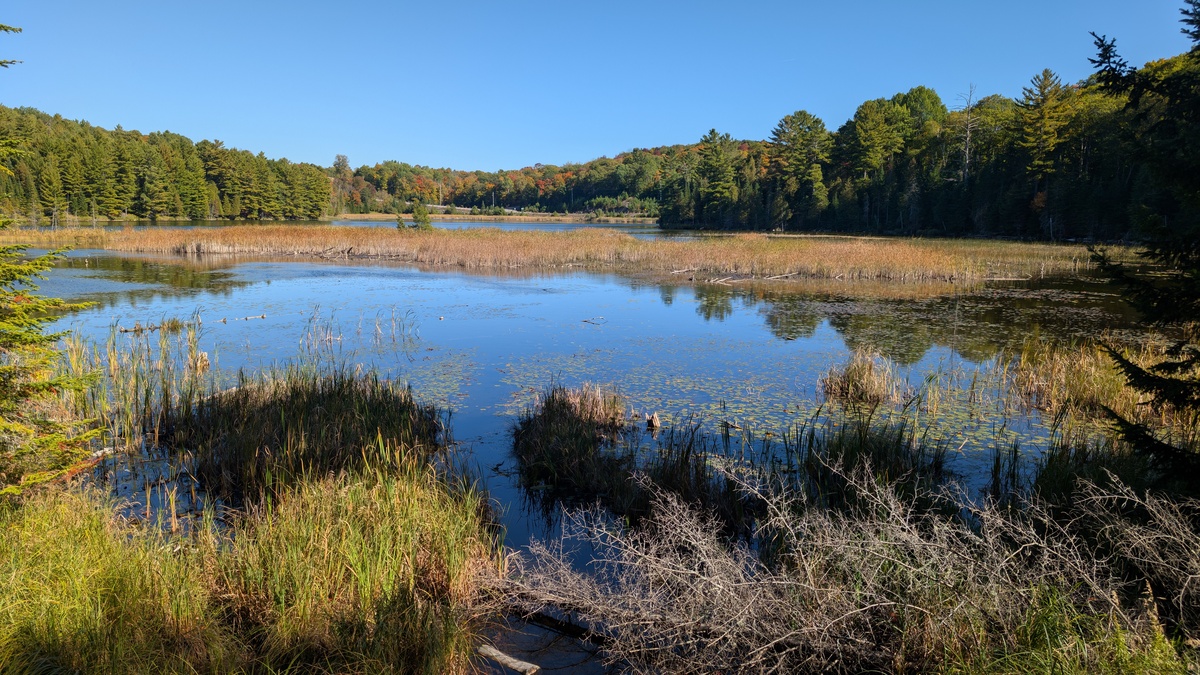 Muskoka 4 Day Weekend - Photo 10