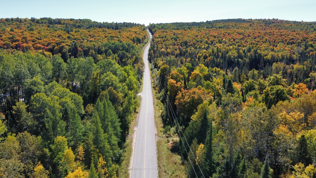 Muskoka 4 Day Weekend - Photo 12