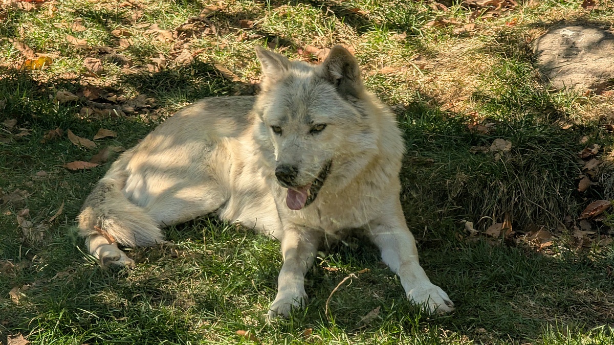 Muskoka 4 Day Weekend - Photo 20