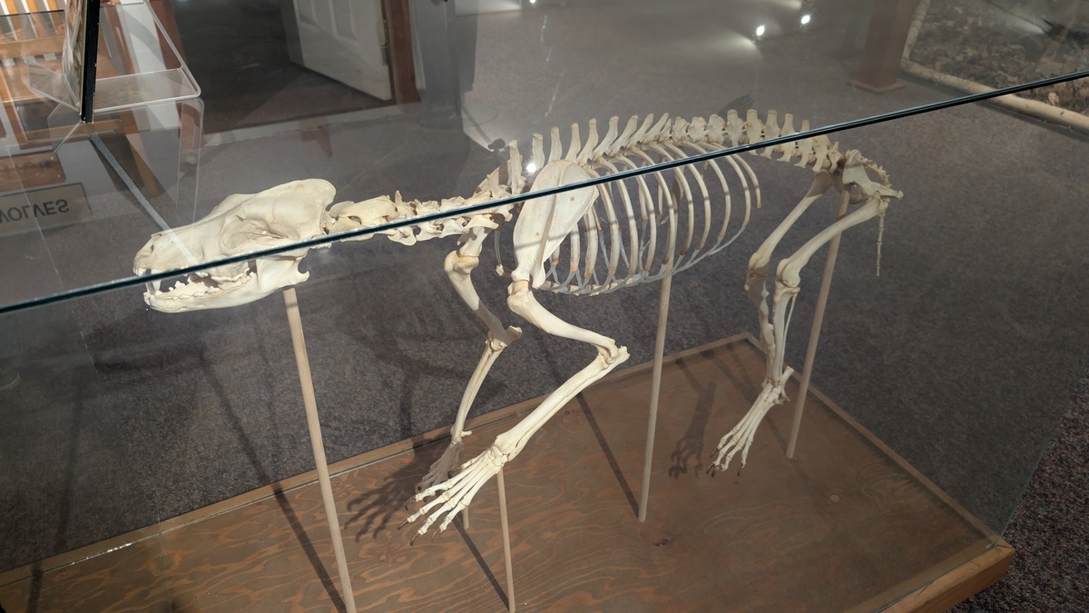 Muskoka 4 Day Weekend - Photo 21